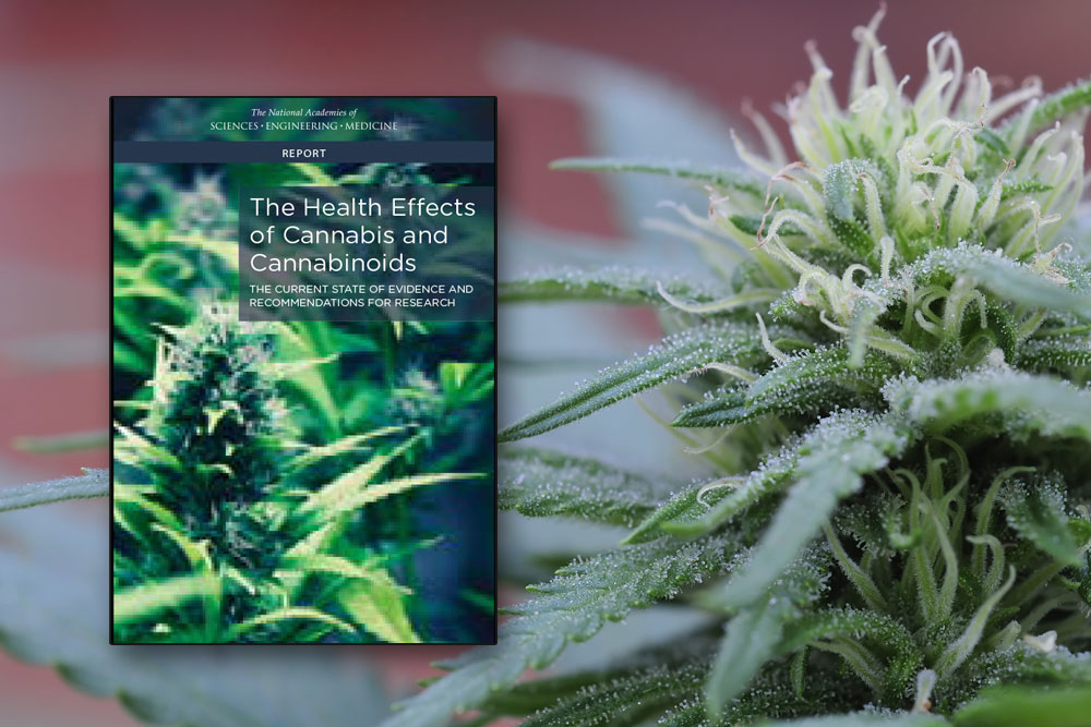 National Academy of Sciences issues report on Health Effects of Cannabis and Cannabinoids