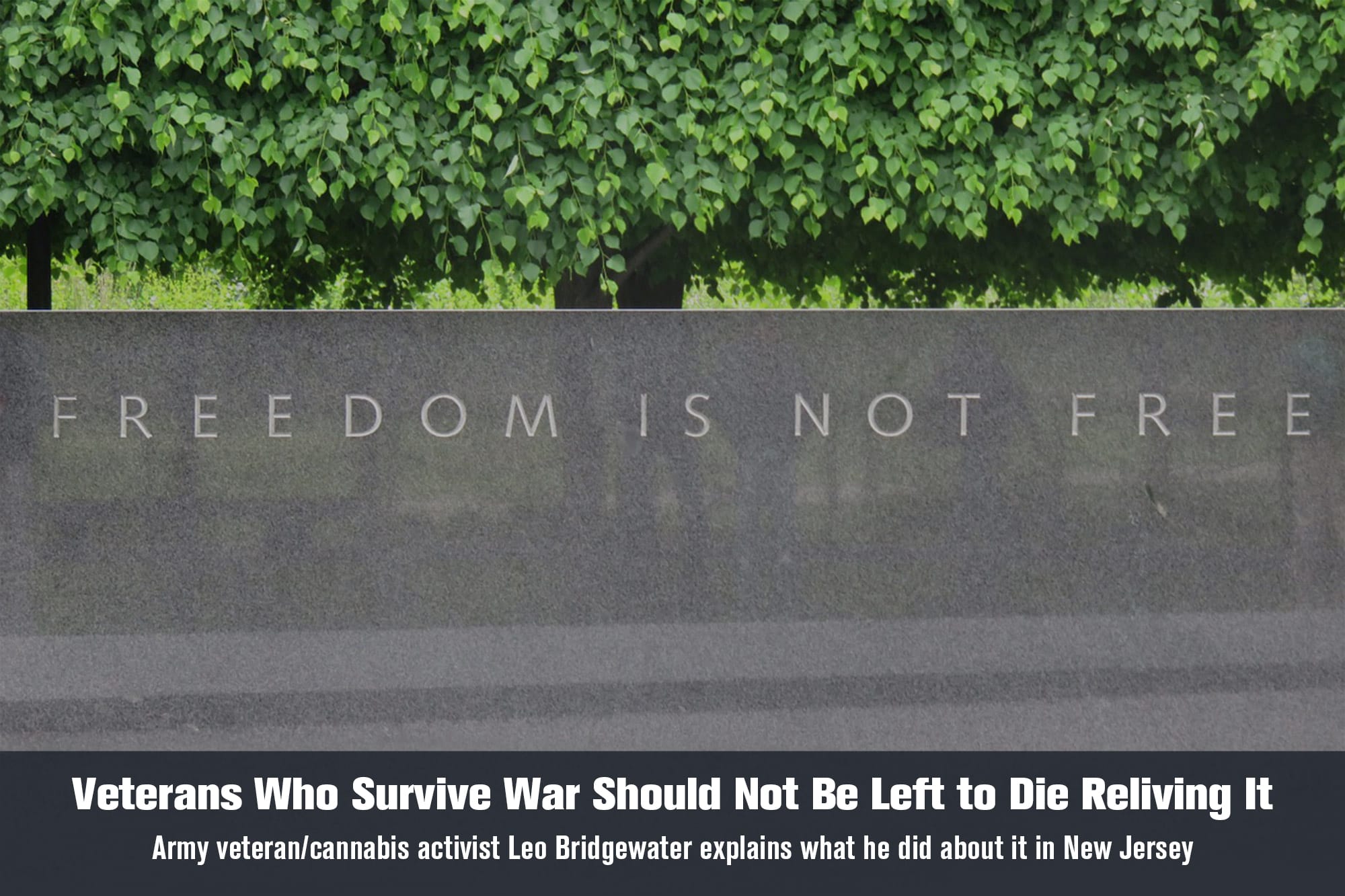 Veterans Who Survive War Should Not Be Left to Die Reliving It